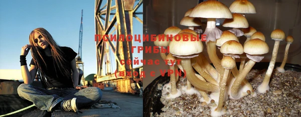 гашиш Бородино