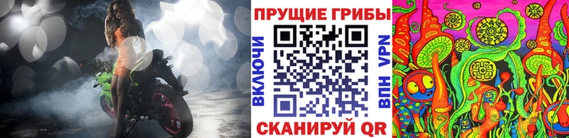 Псилоцибиновые грибы Magic Shrooms  Моршанск 